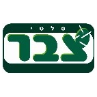 סלטי צבר